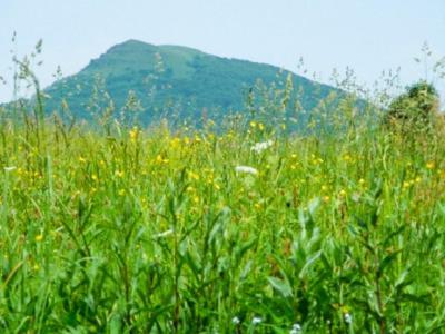 Caloroczne Domki Zacisze Hnatowego Berda W Wetlinie Wetlina Kültér fotó